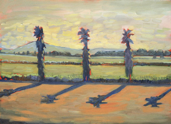 Three Palms, with Mt. Diablo