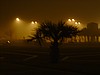Midnight Fog