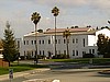 Palms