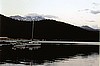 Shasta After