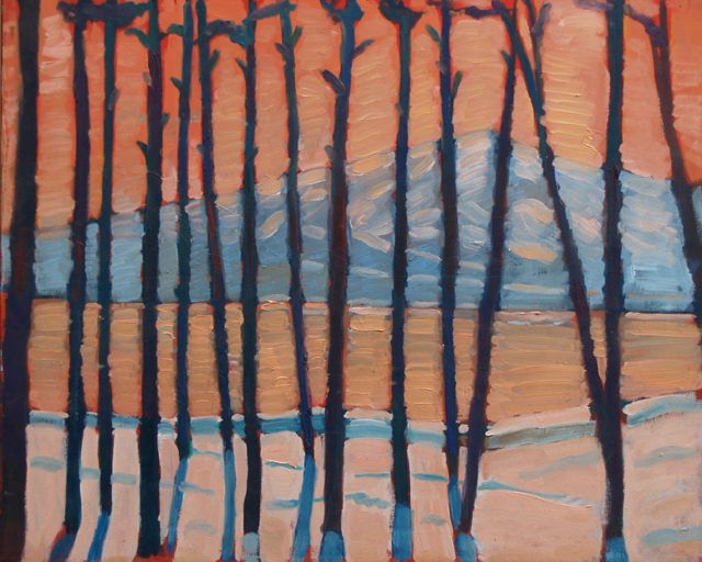 Sunset Through the Trees